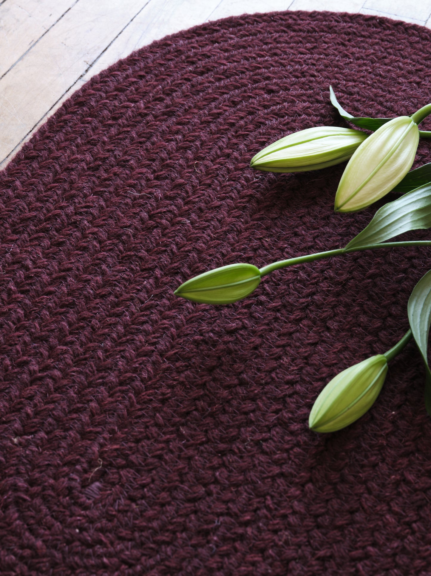 Circle Rug