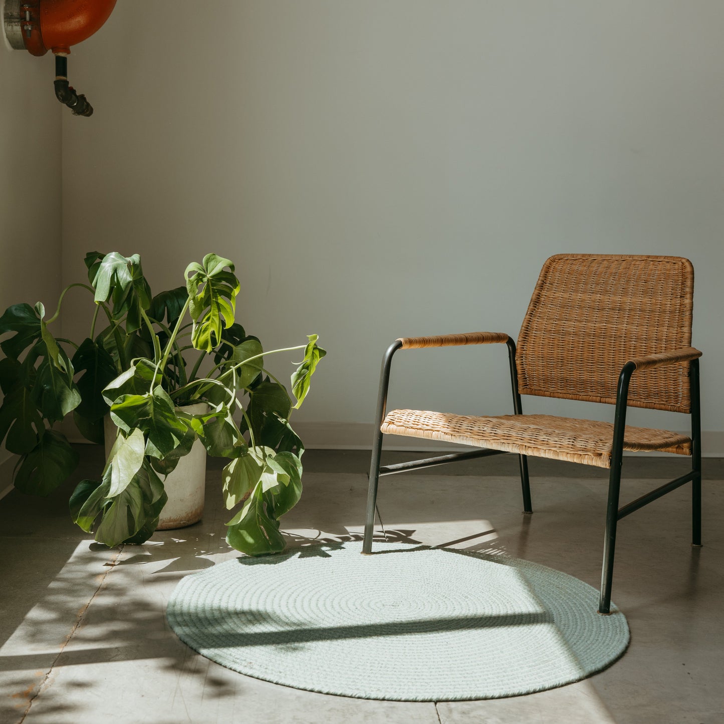 Circle Rug