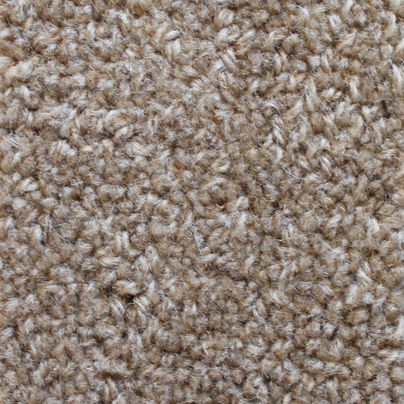 Bean Rug