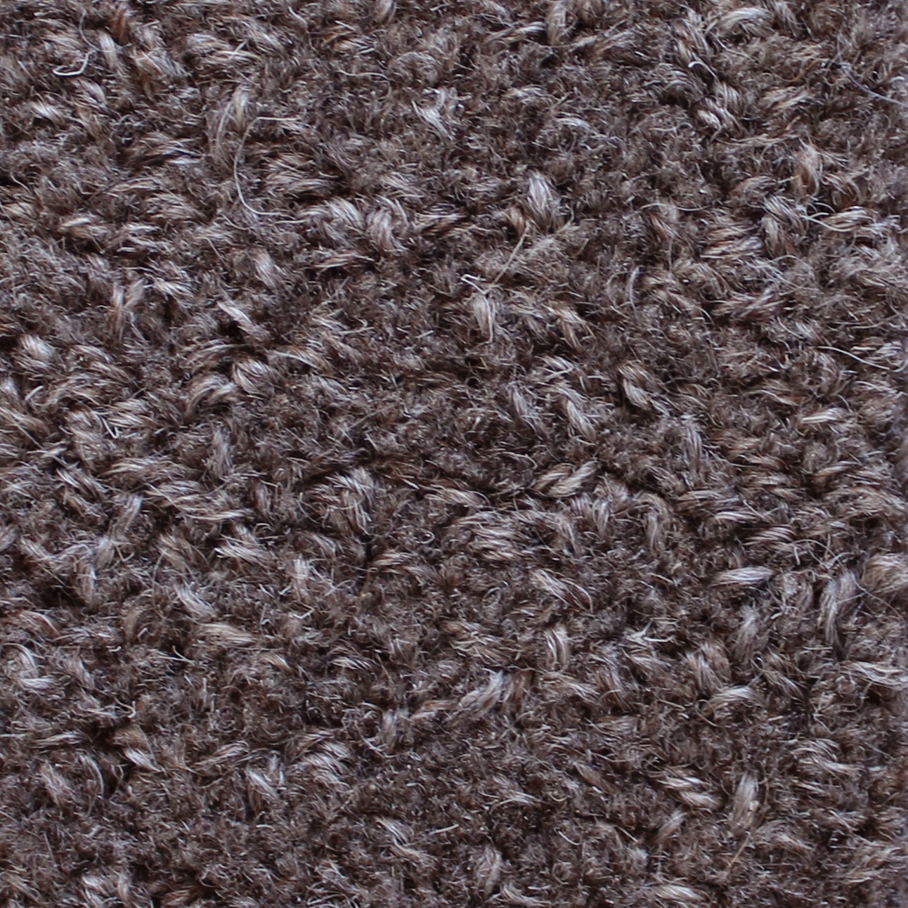 Bean Rug