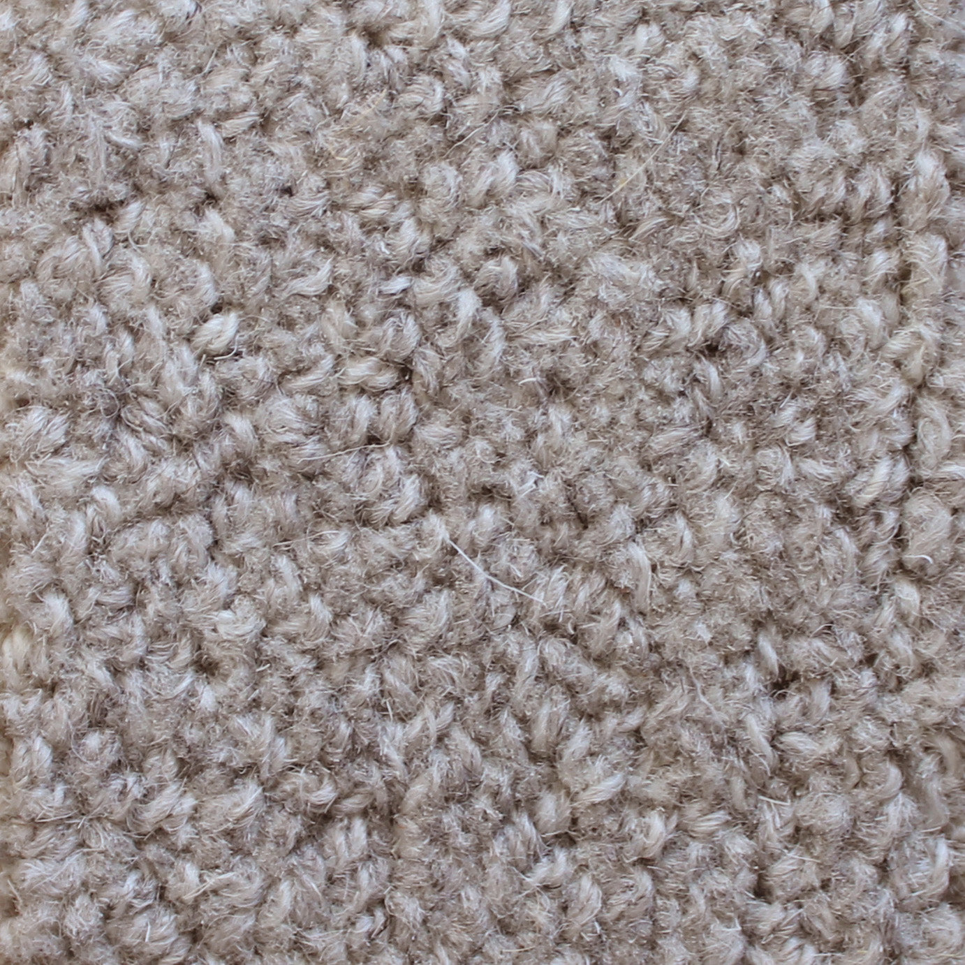 Bean Rug