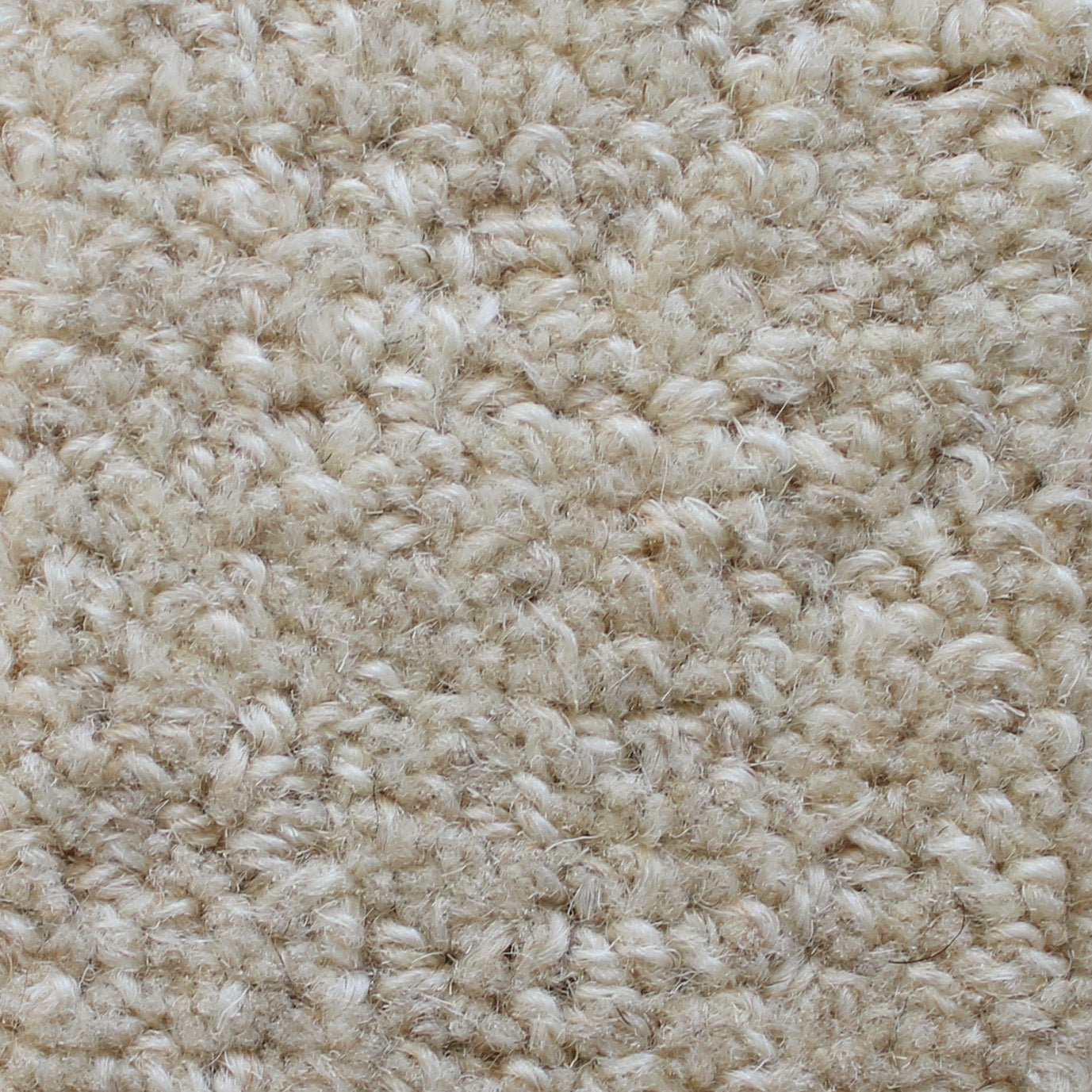 Bean Rug